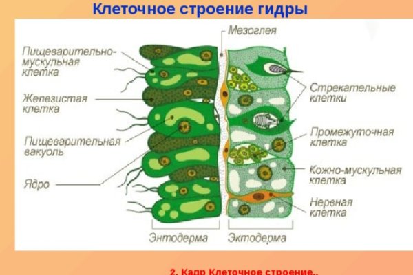 Кракен сайт store